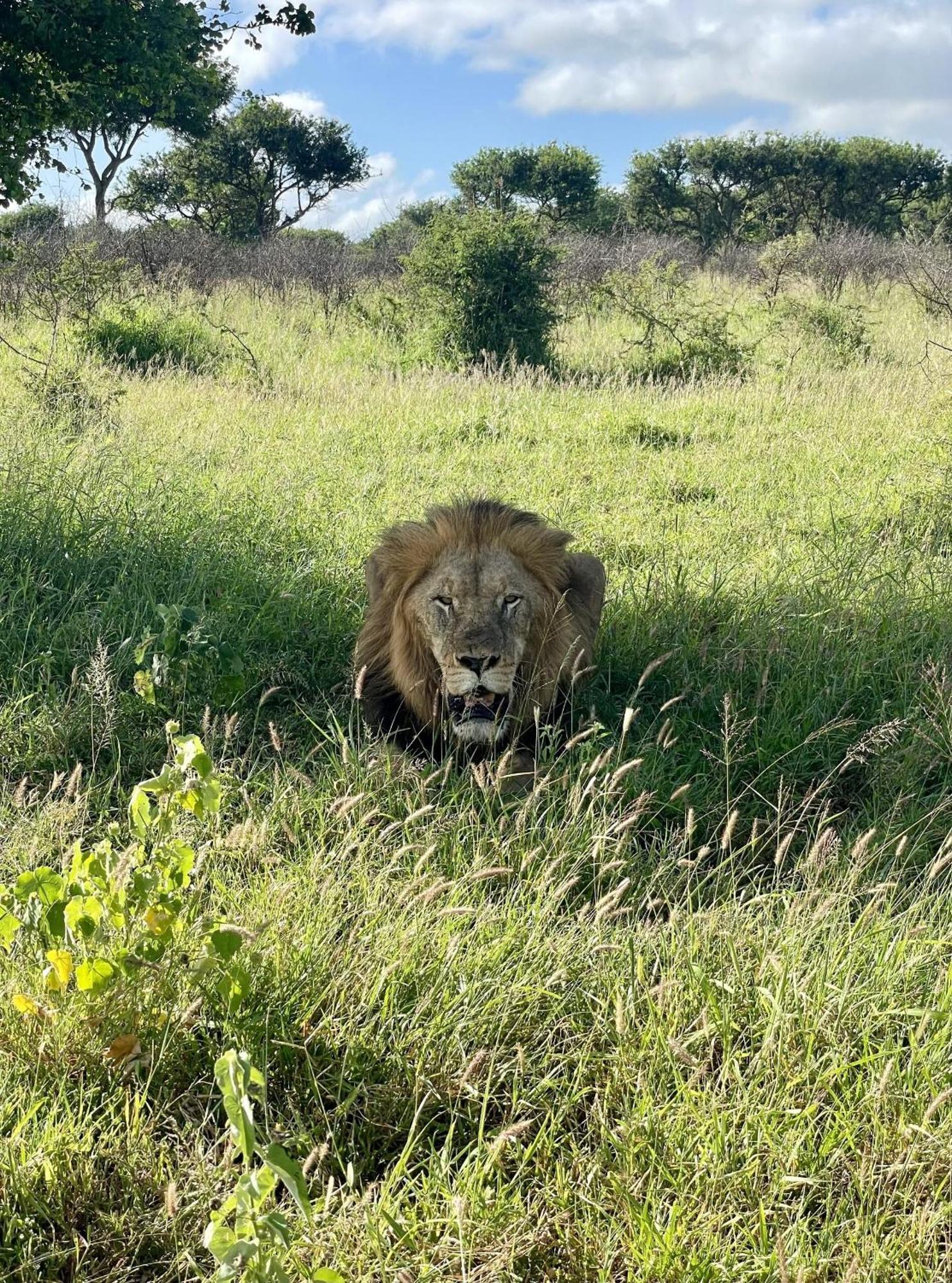 Rhino River Lodge Manyoni Private Game Reserve Eksteriør bilde